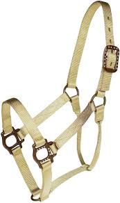 HEADSTALL - MUSTANG NYLON HALTER/85272 - MUSTANG - Mock Brothers Saddlery and Western Wear