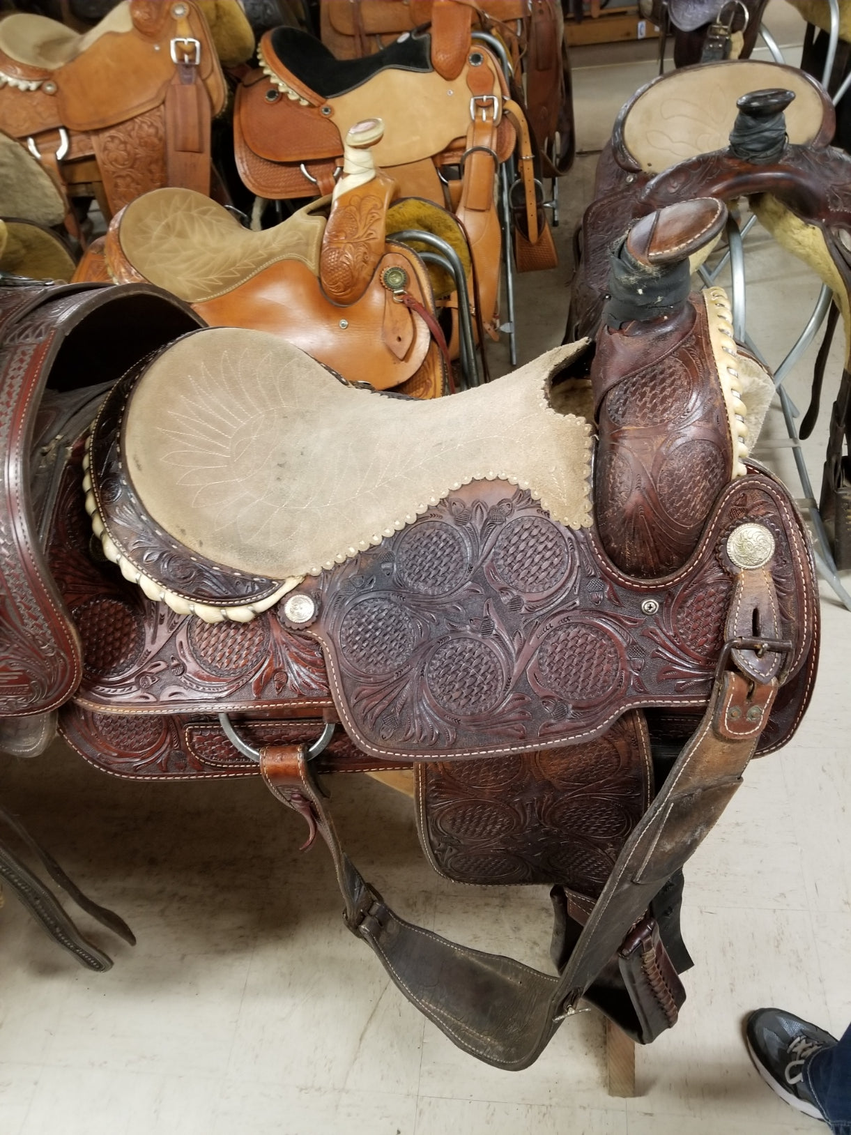 Used Saddlesmith Action Co Roper/DG2500605GM/16"