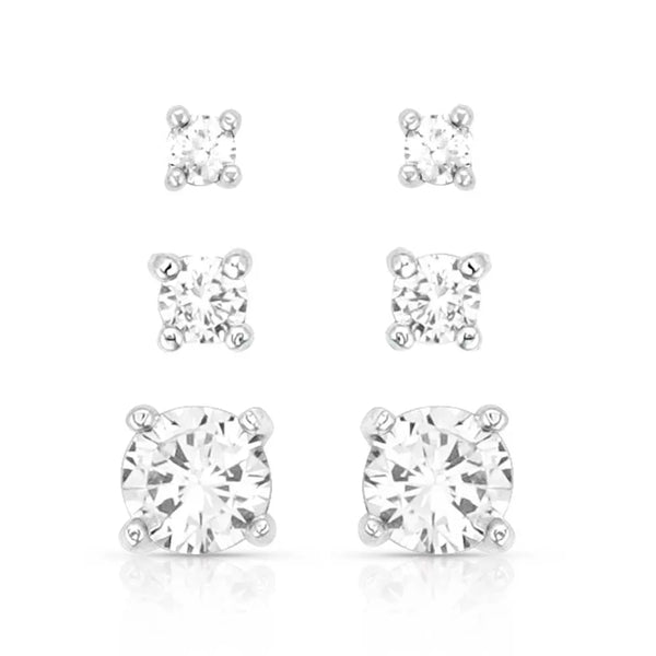 Montana Silversmiths Earrings/ER5646