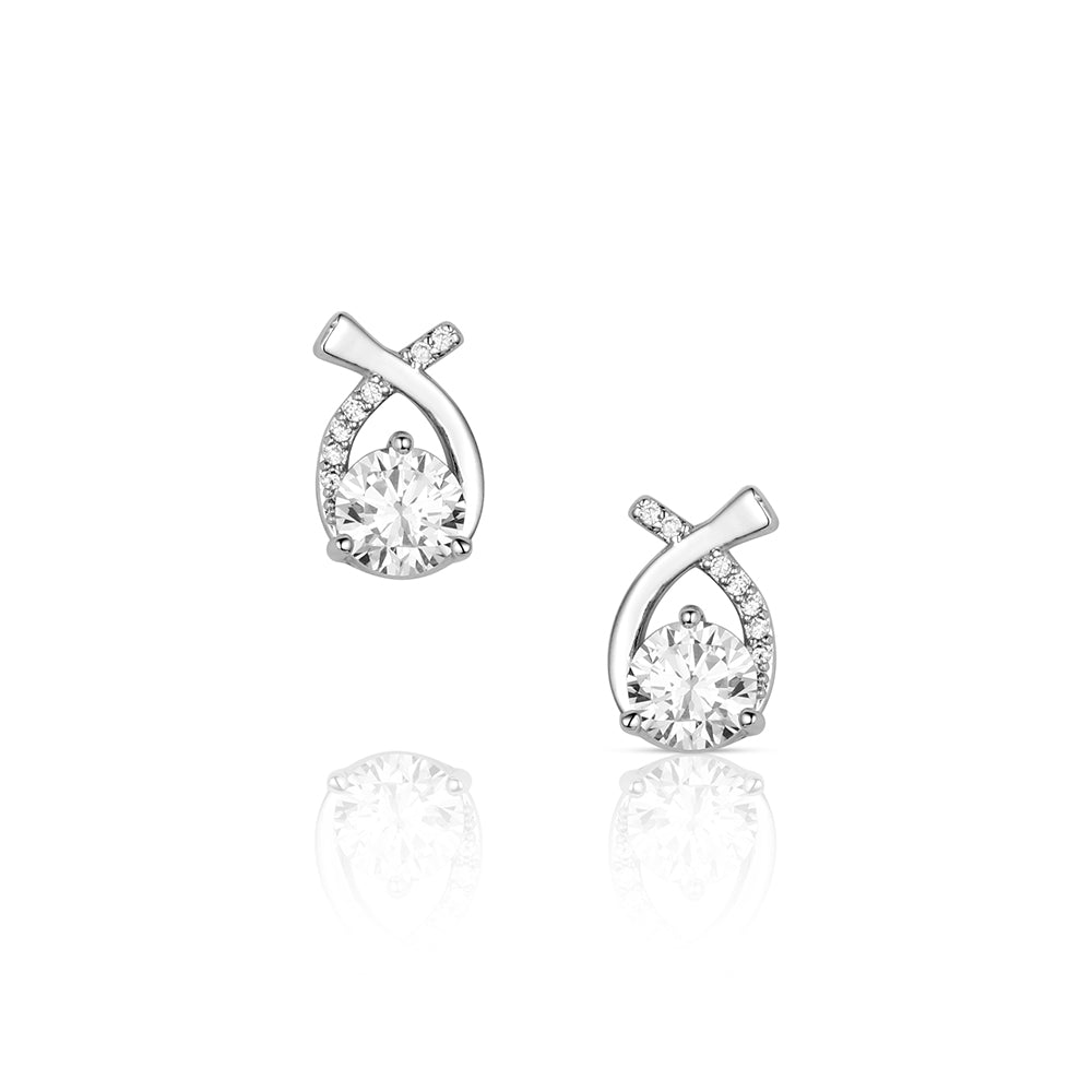 Montana Silversmiths Earrings/ER6626