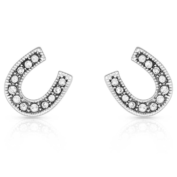 Montana Silversmiths Earrings/ER808