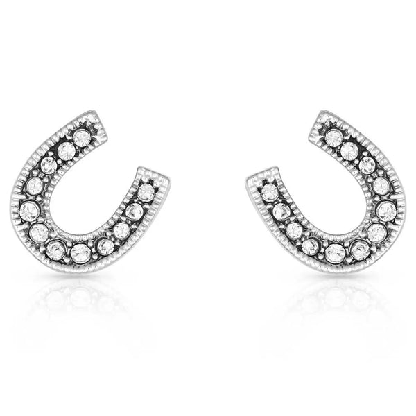 Montana Silversmiths Earrings/ER808