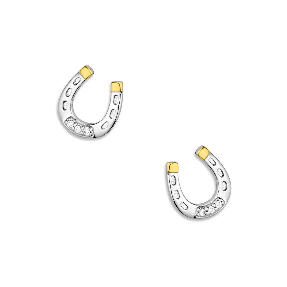 Montana Silversmiths Earrings/QER6429