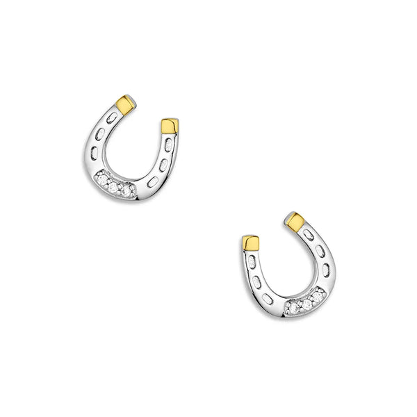 Montana Silversmiths Earrings/QER6429