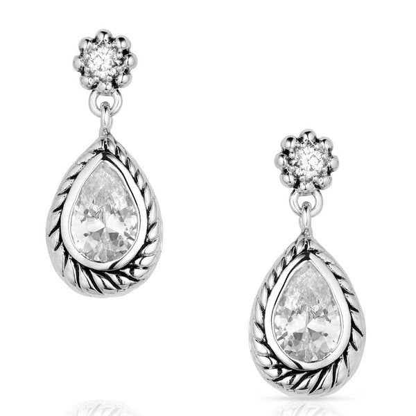 Montana Silversmiths Earrings/ER5850