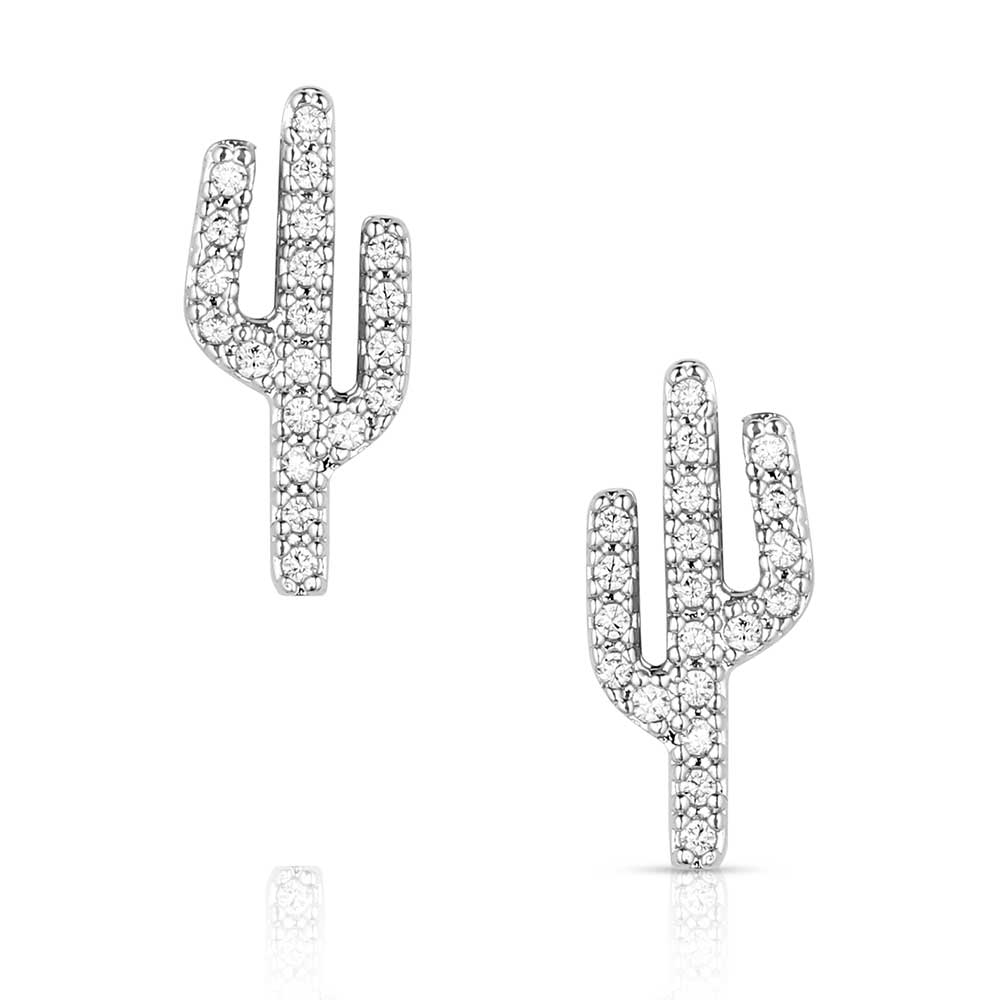 Montana Silversmiths Earrings/ER5868