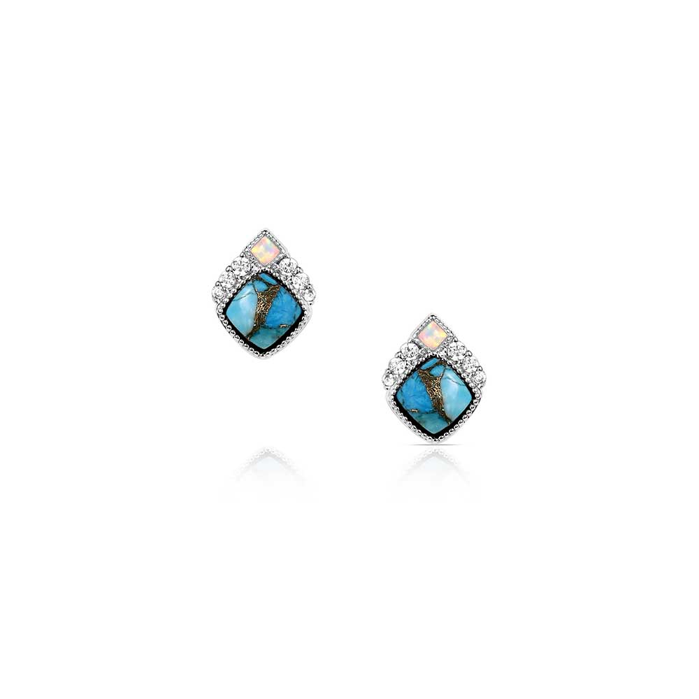 Montana Silversmiths Earrings/ER6313