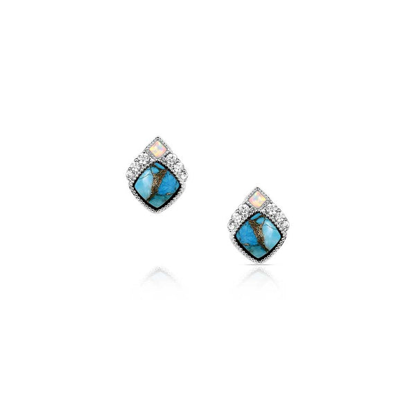 Montana Silversmiths Earrings/ER6313