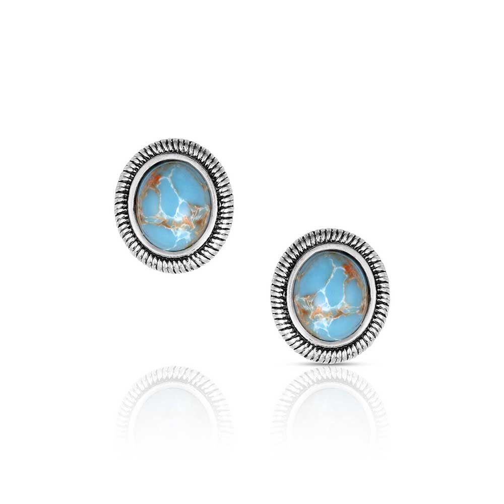 Montana Silversmiths Earrings/ER6316