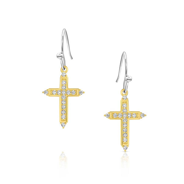 Montana Silversmiths Earrings/ER6318