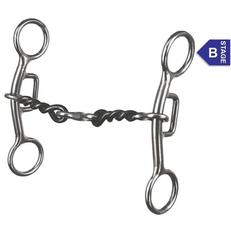 Reinsman Tender Touch Sharon Camarillo Bit/754 – Mock Brothers