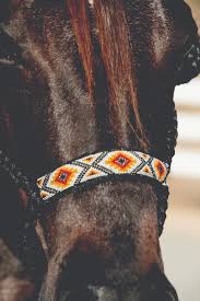 HEADSTALL - PROFESSIONAL CHOICE ROPE HALTERS/HRCB - PROFESSIONAL CHOICE - Mock Brothers Saddlery and Western Wear