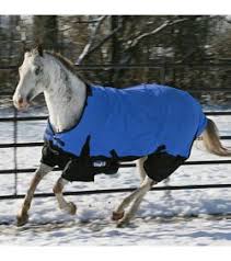 Horse Blankets - Oxbow Turnout Blanket For Horses - OXBOW - Mock Brothers Saddlery and Western Wear