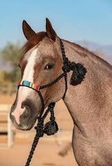 HEADSTALL - PROFESSIONAL CHOICE ROPE HALTERS/HRCB - PROFESSIONAL CHOICE - Mock Brothers Saddlery and Western Wear