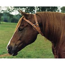 CRIBBING COLLAR - WEAVER CRIBBING COLLAR/30-1260-HV - WEAVER - Mock Brothers Saddlery and Western Wear