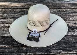 Rodeo King Straw Hat/Cloth/The Wind 5"