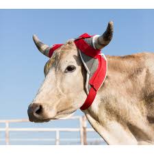 Rope - Horn Wraps - TACK - Mock Brothers Saddlery and Western Wear